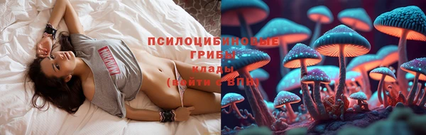 a pvp Абаза
