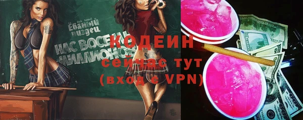 ГАЛЛЮЦИНОГЕННЫЕ ГРИБЫ Переславль-Залесский